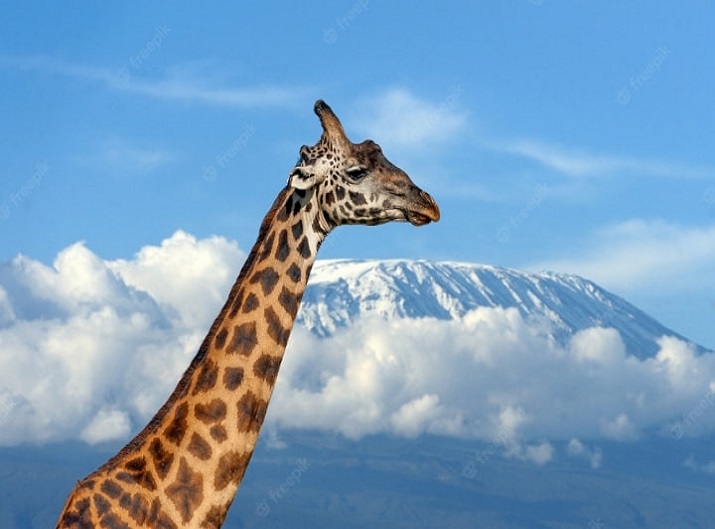destination image