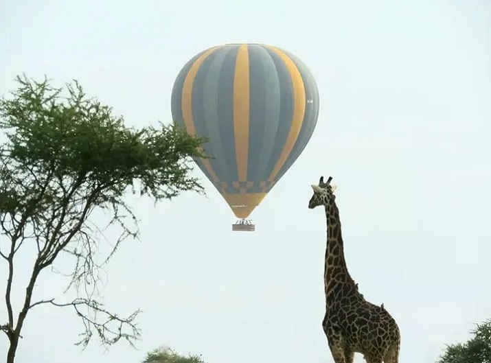 destination image